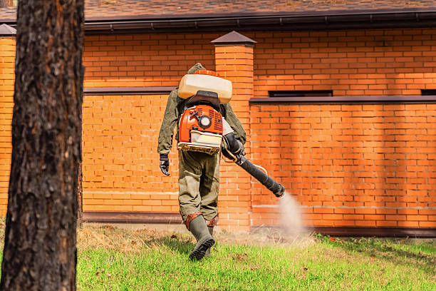 Trusted Fumigation Services service in South Tucson, AZ - Nex Pest Control